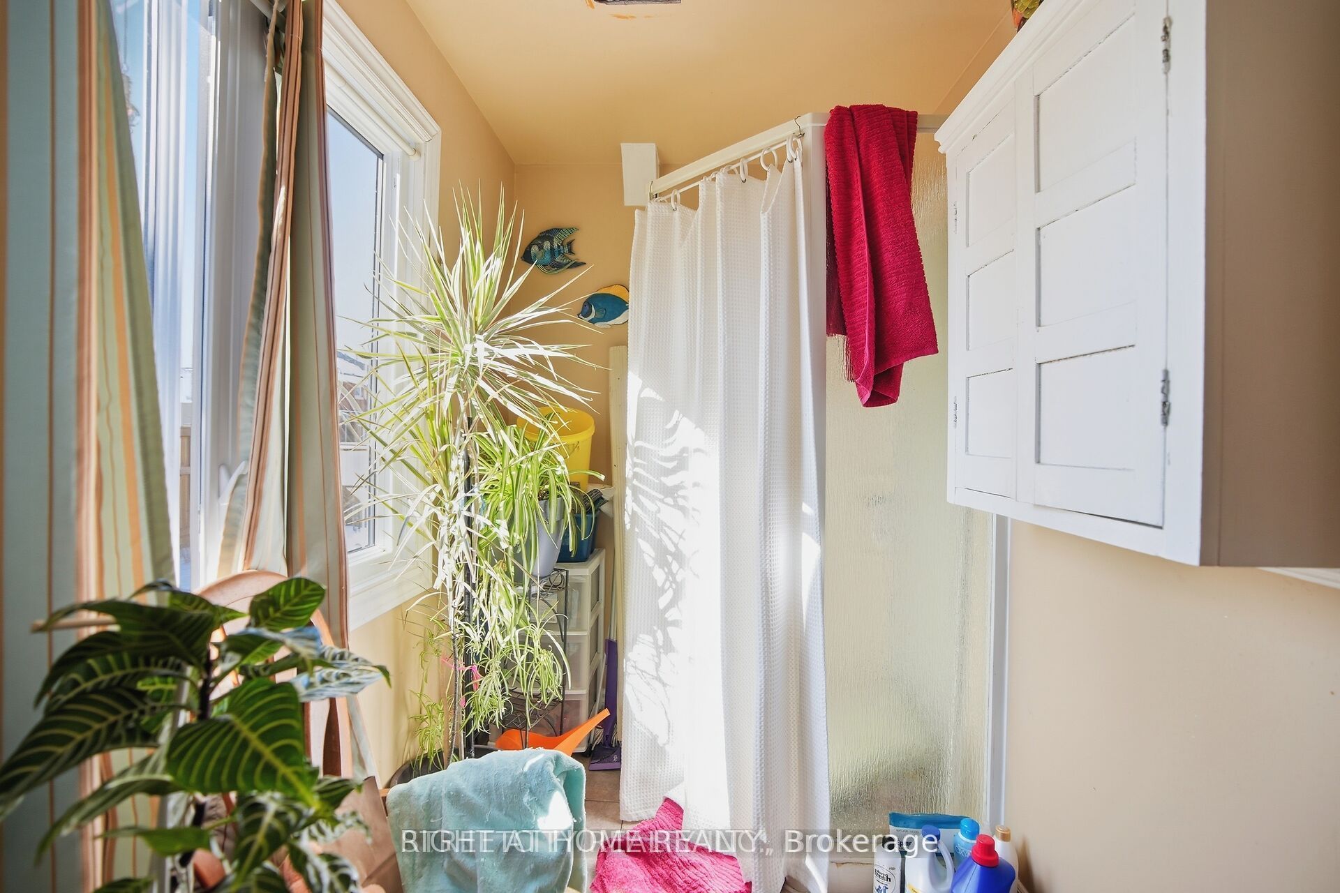 24 Hincks Street Property Photo 13