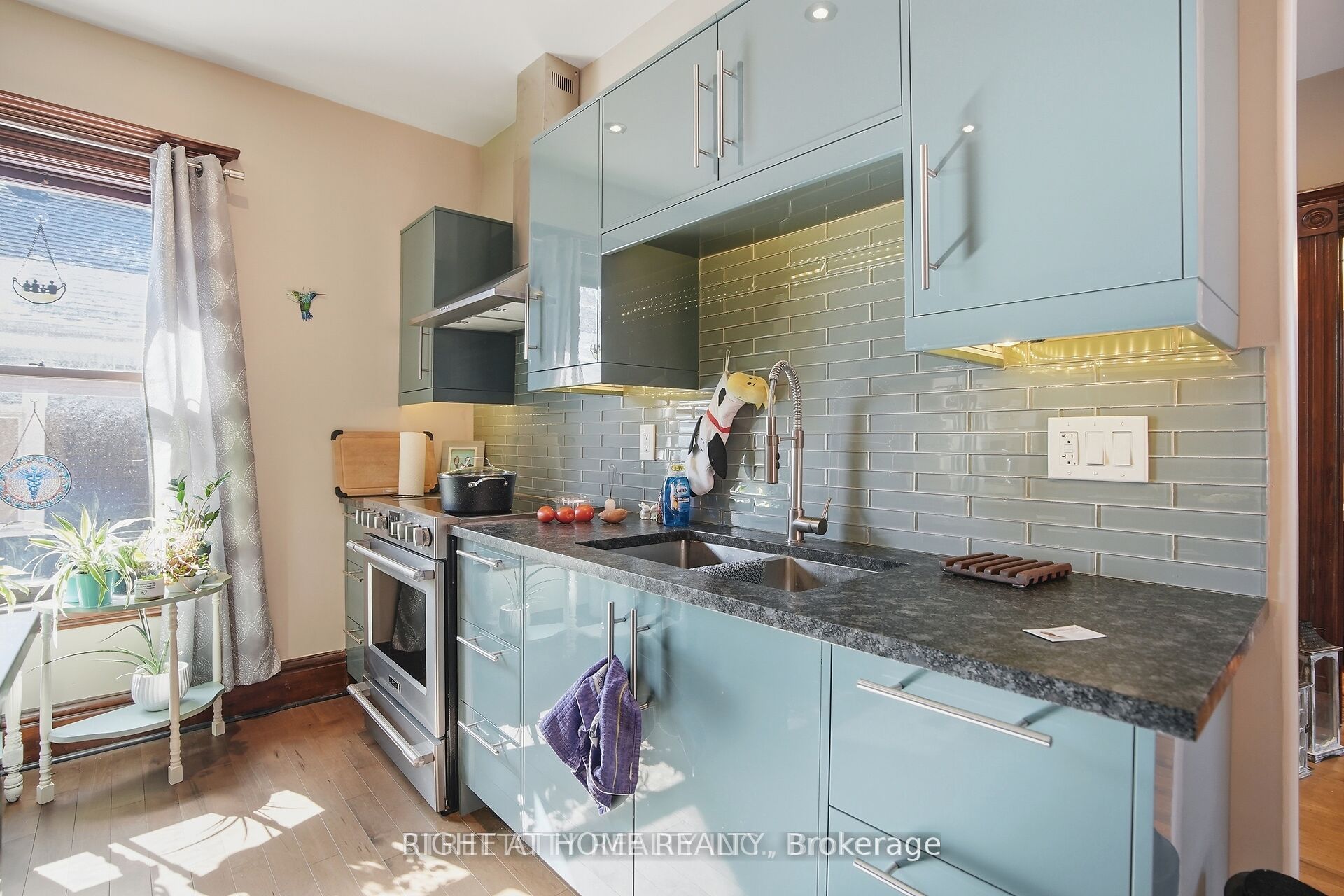 24 Hincks Street Property Photo 26