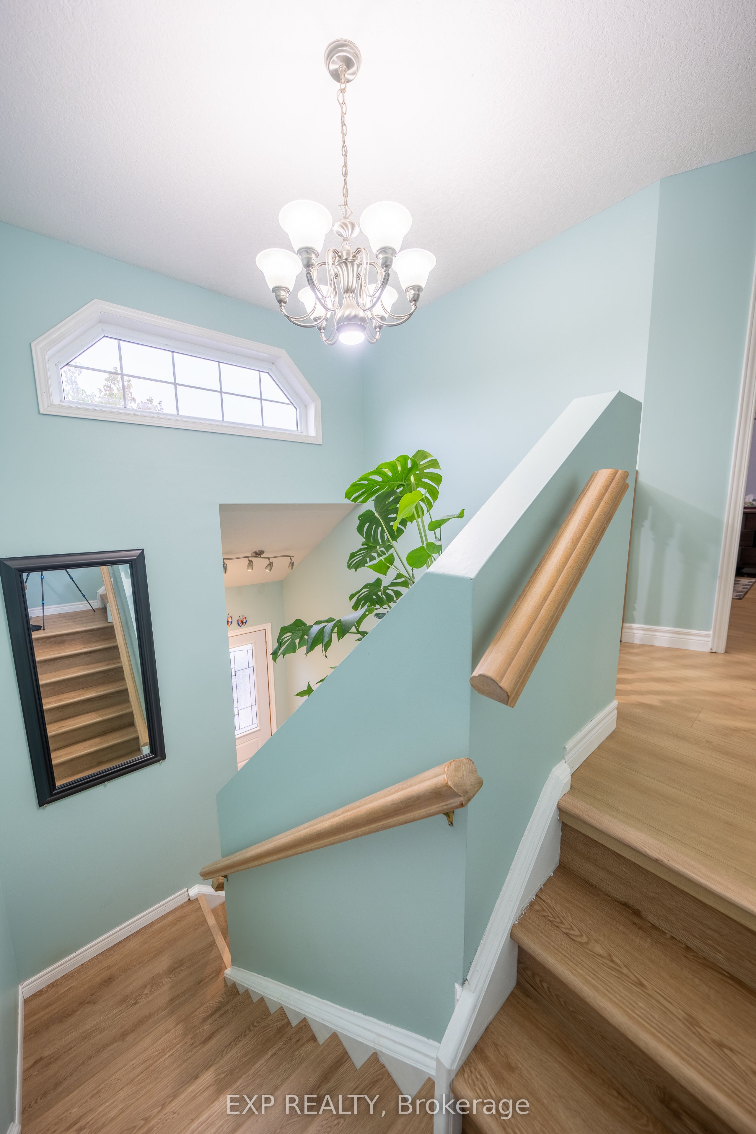237 Grey Fox Drive Property Photo 18