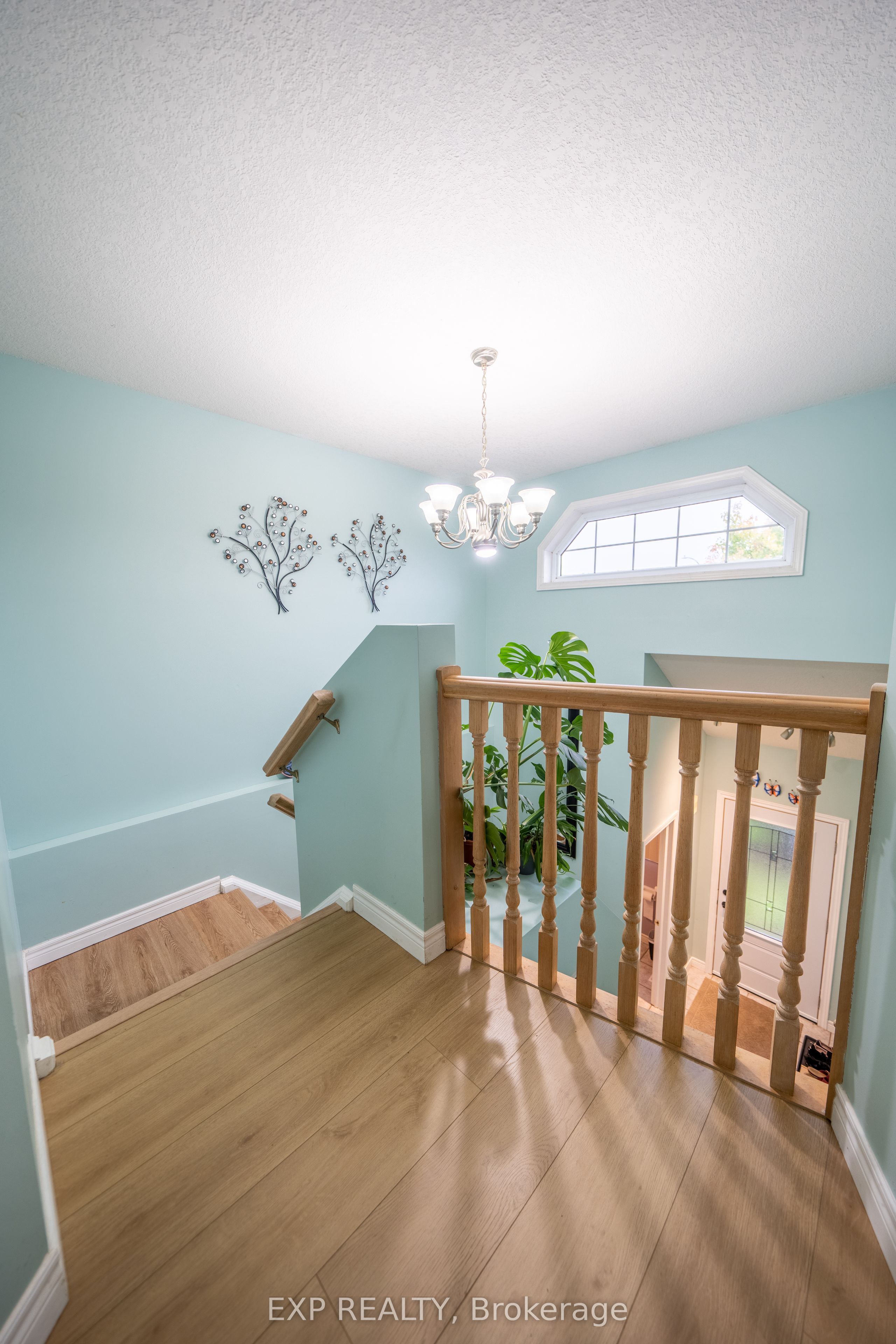 237 Grey Fox Drive Property Photo 19