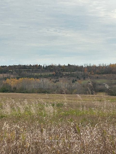 0 Elmdale Road Property Photo 3