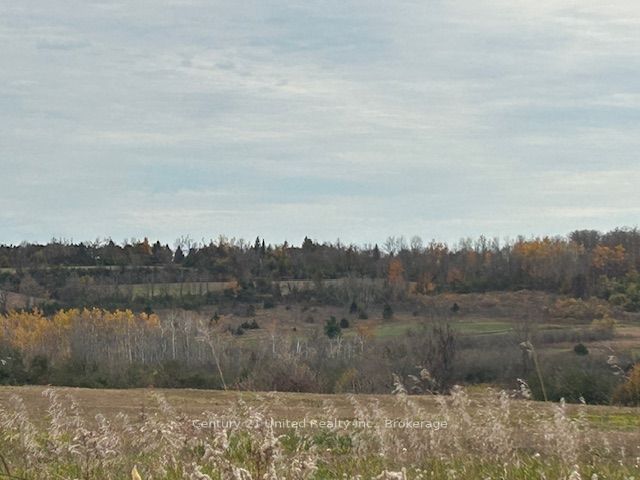 0 Elmdale Road Property Photo 5