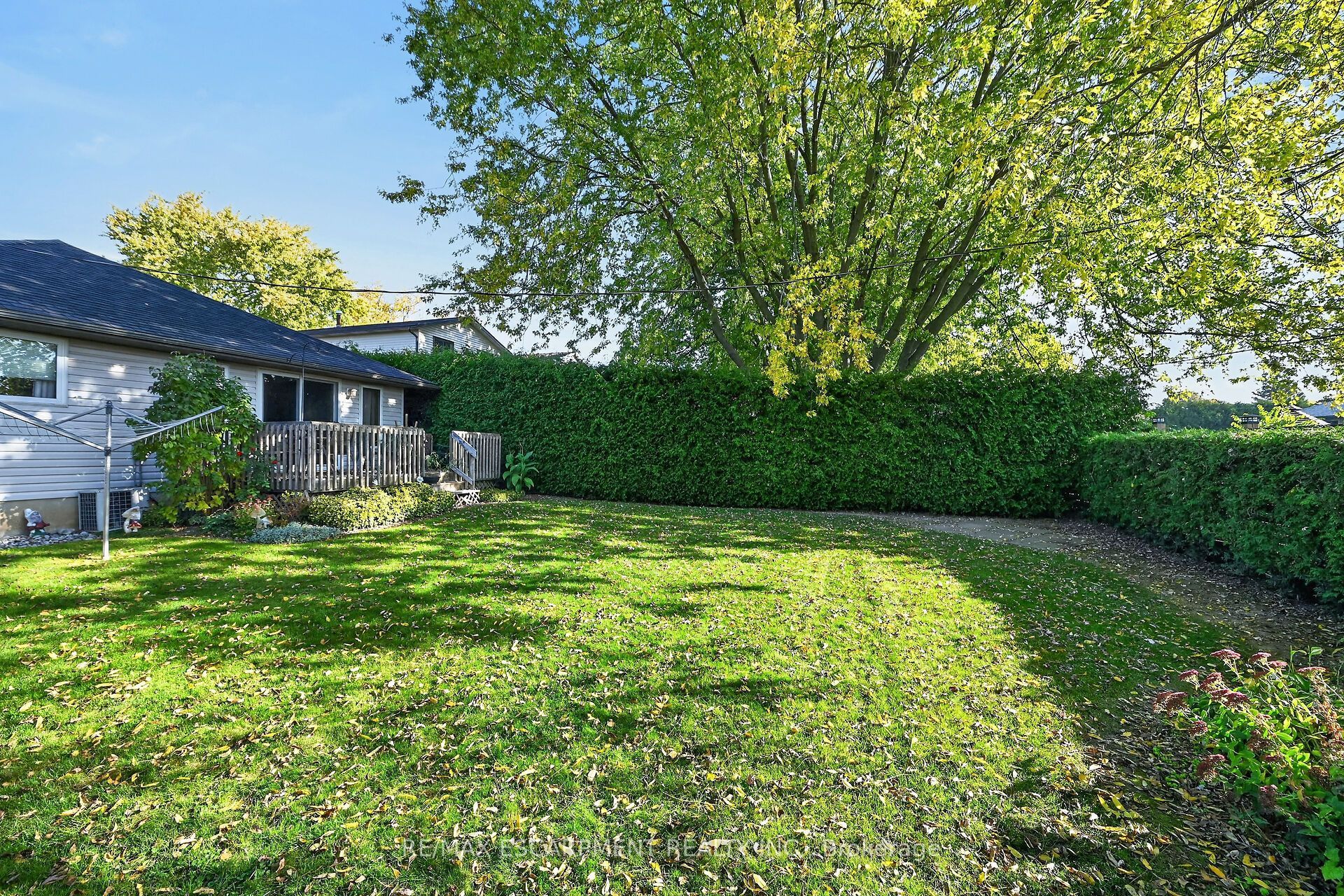 11 Barton Street Property Photo 40