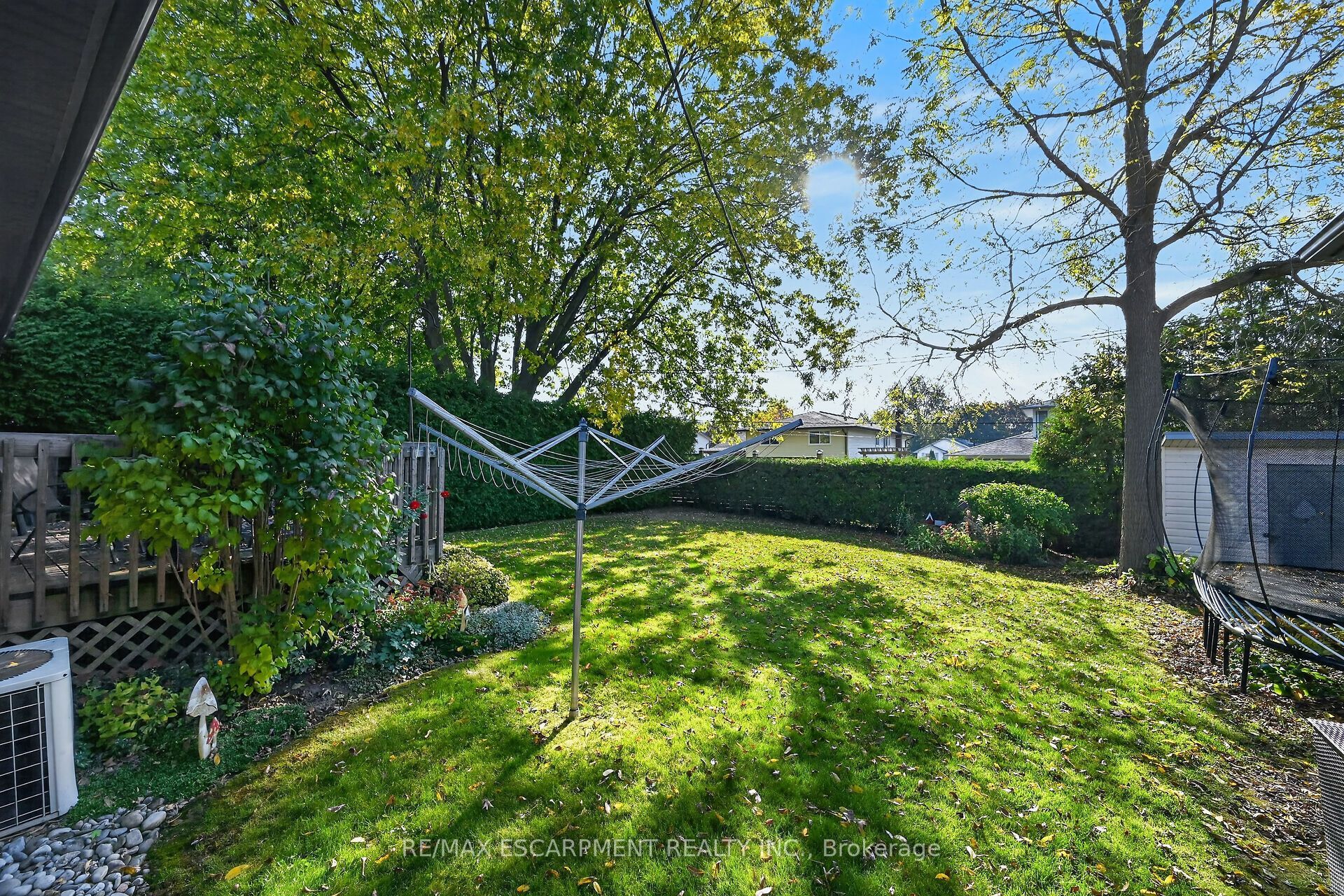 11 Barton Street Property Photo 41
