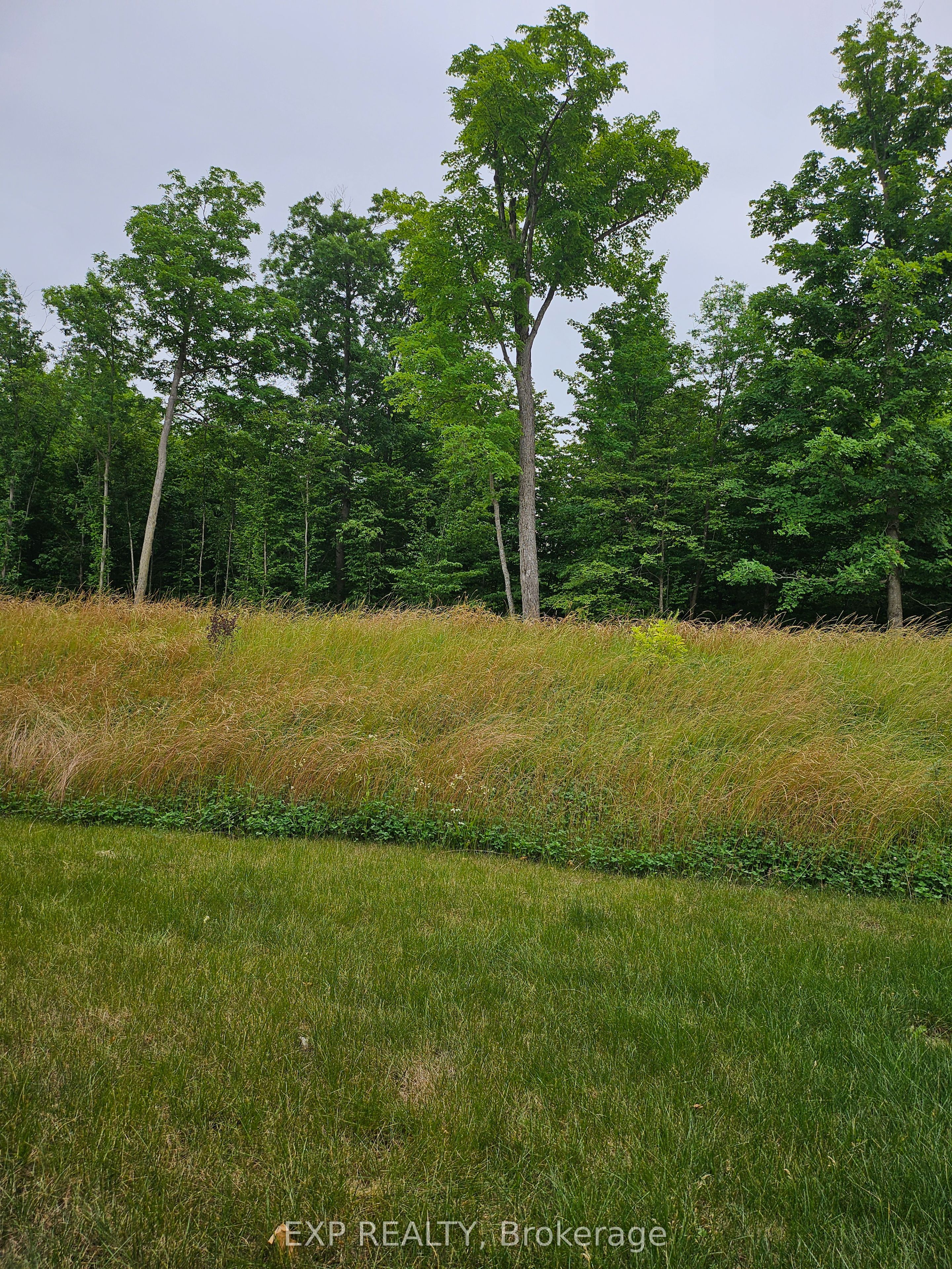 364 Appalachian Circle Property Photo 31