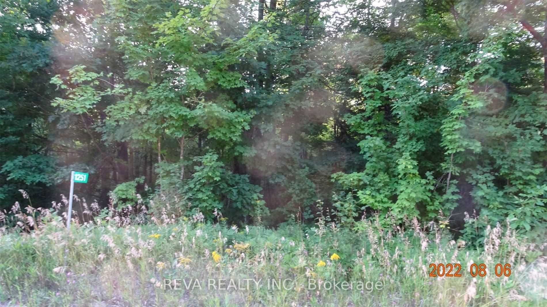 1251 Buckshot Lake Rd Property Photo 4