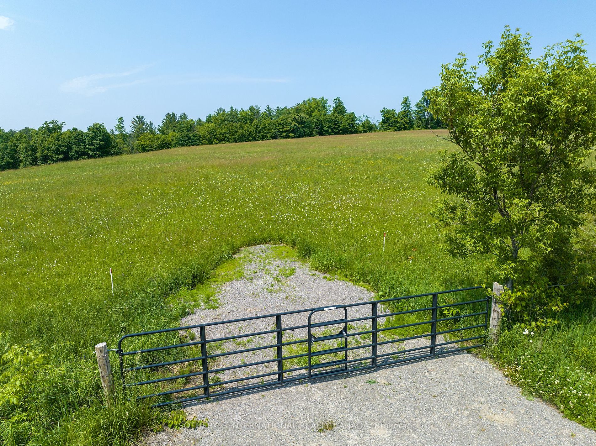 238 Concession Road 2 W Property Photo 4