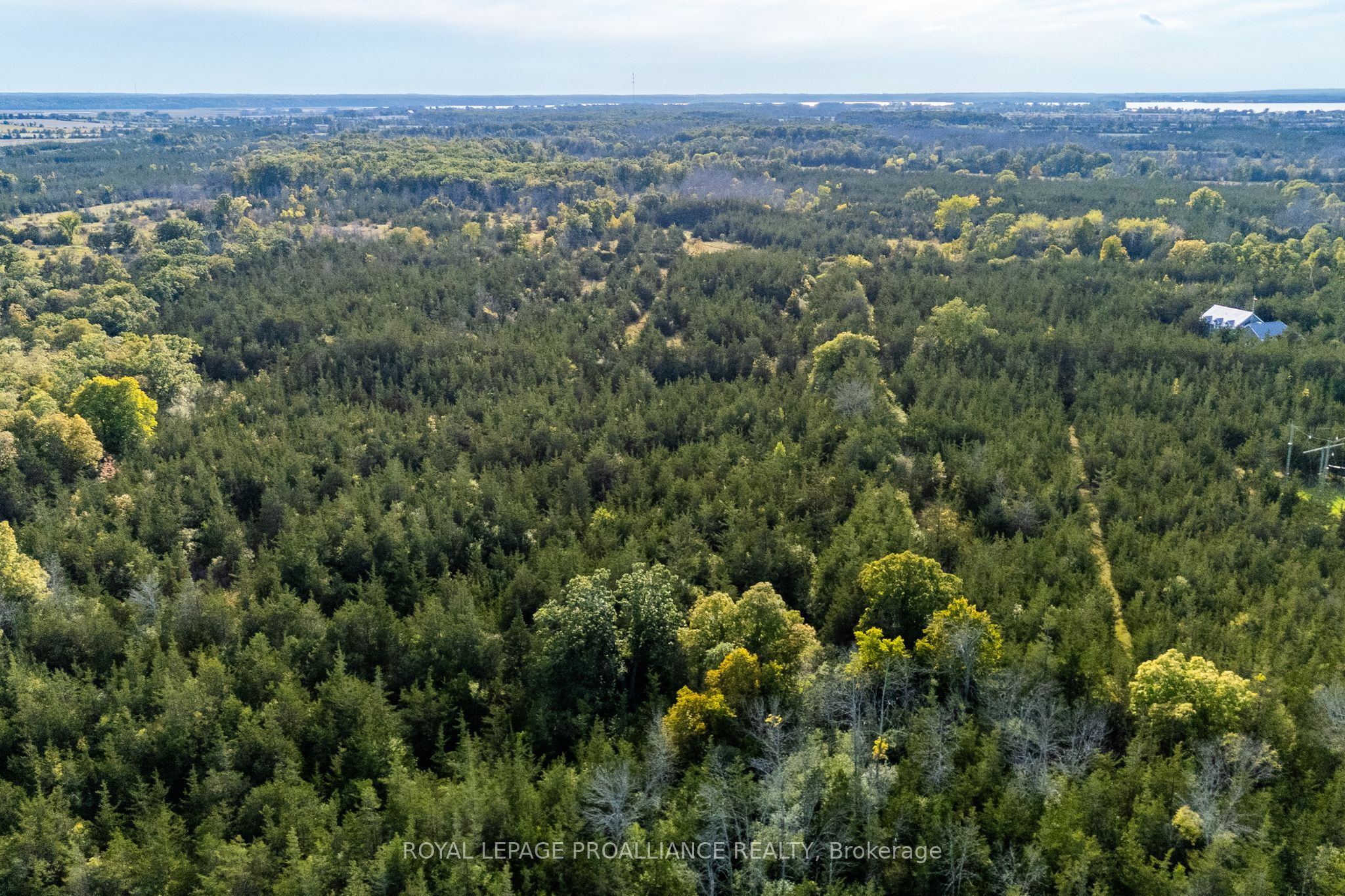 Lot 45 Sprague Road Property Photo 9