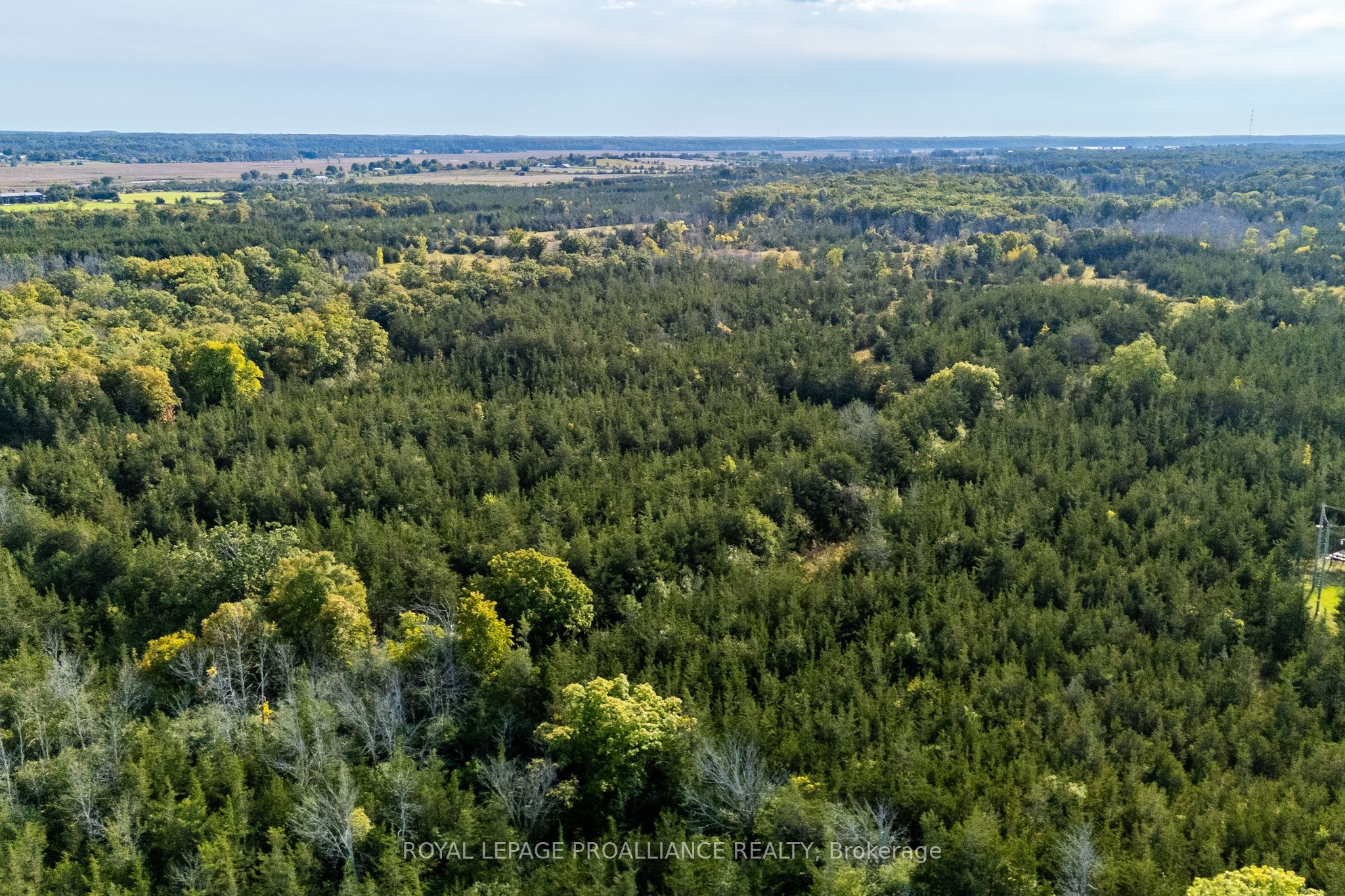 Lot 45 Sprague Road Property Photo 10