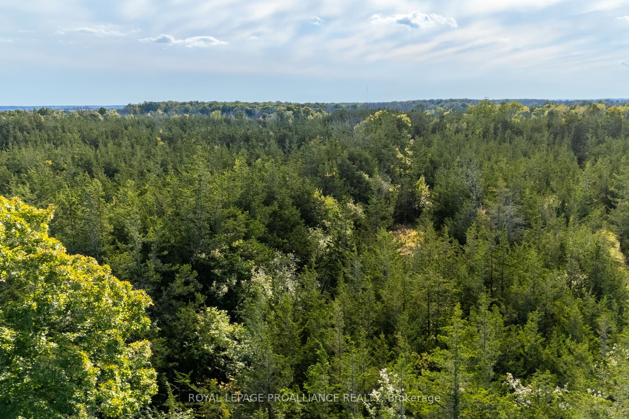 Lot 45 Sprague Road Property Photo 11