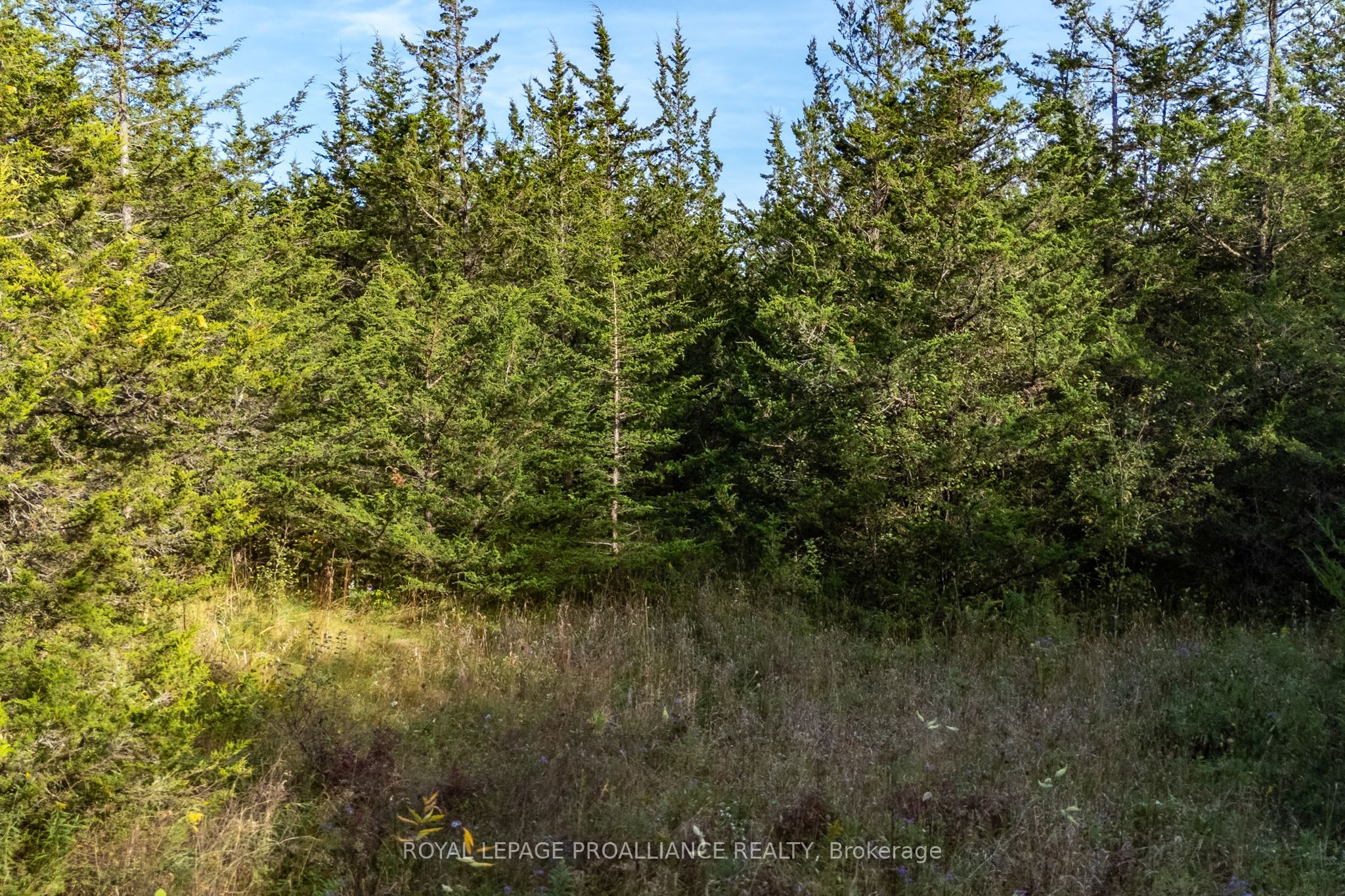 Lot 45 Sprague Road Property Photo 12