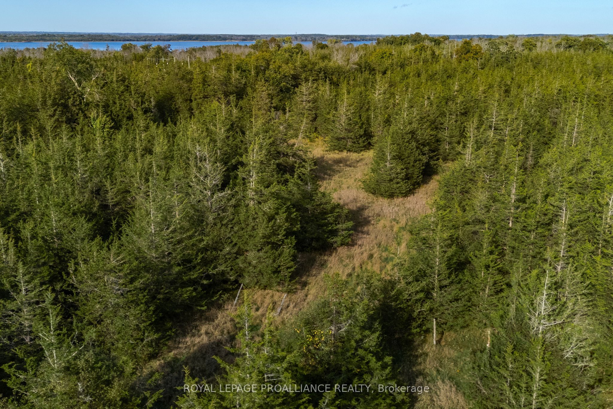 Lot 45 Sprague Road Property Photo 13