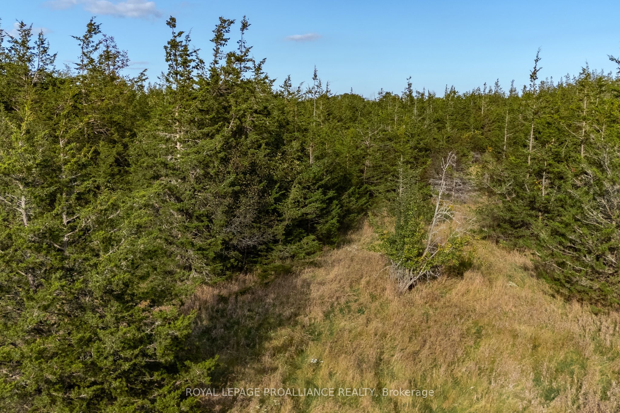 Lot 45 Sprague Road Property Photo 14