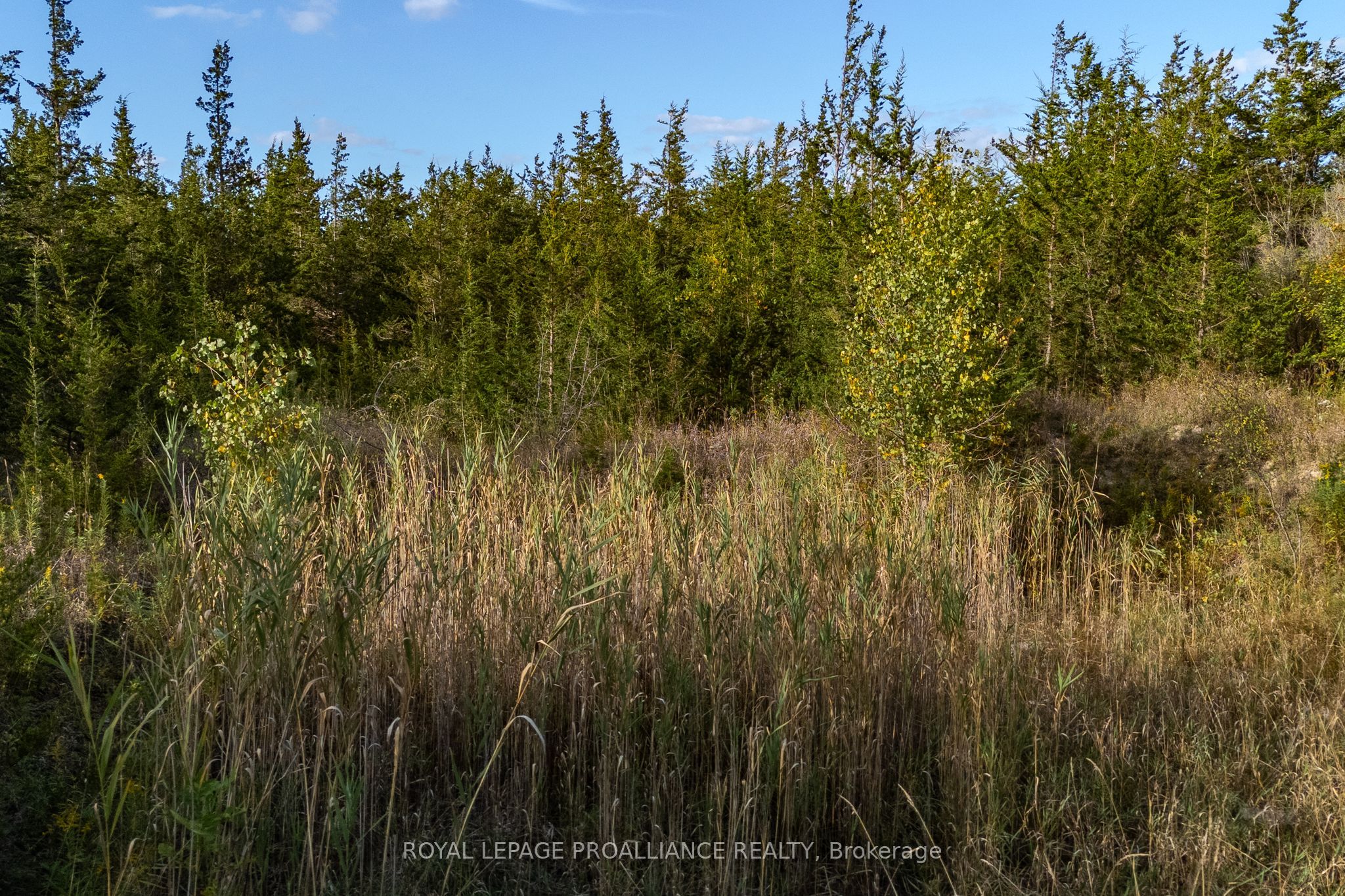 Lot 45 Sprague Road Property Photo 15