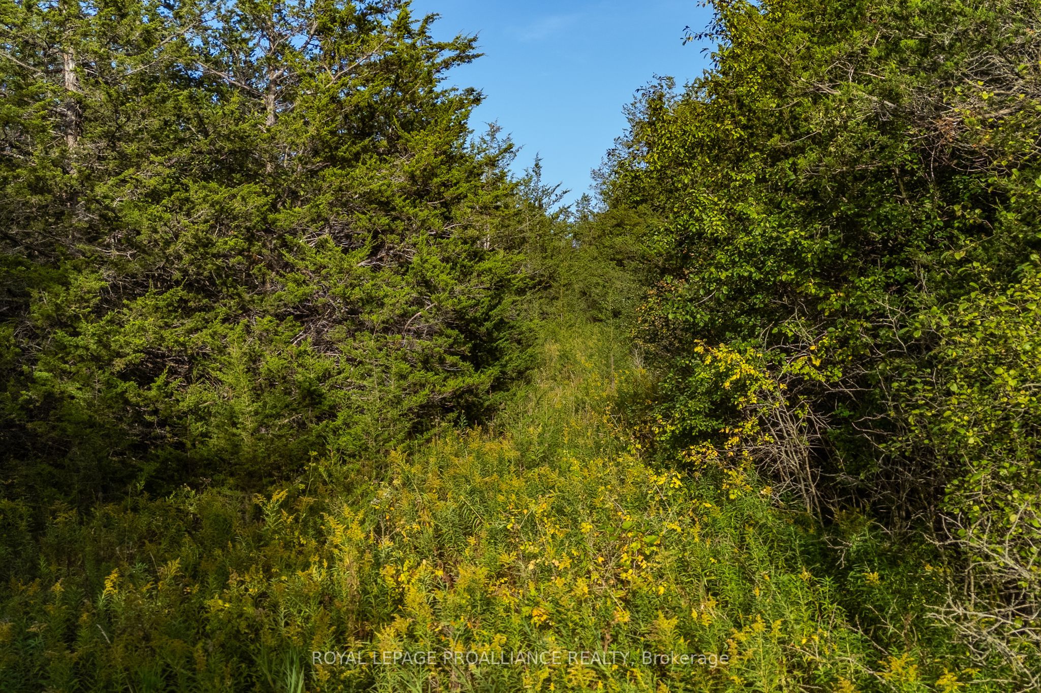Lot 45 Sprague Road Property Photo 16