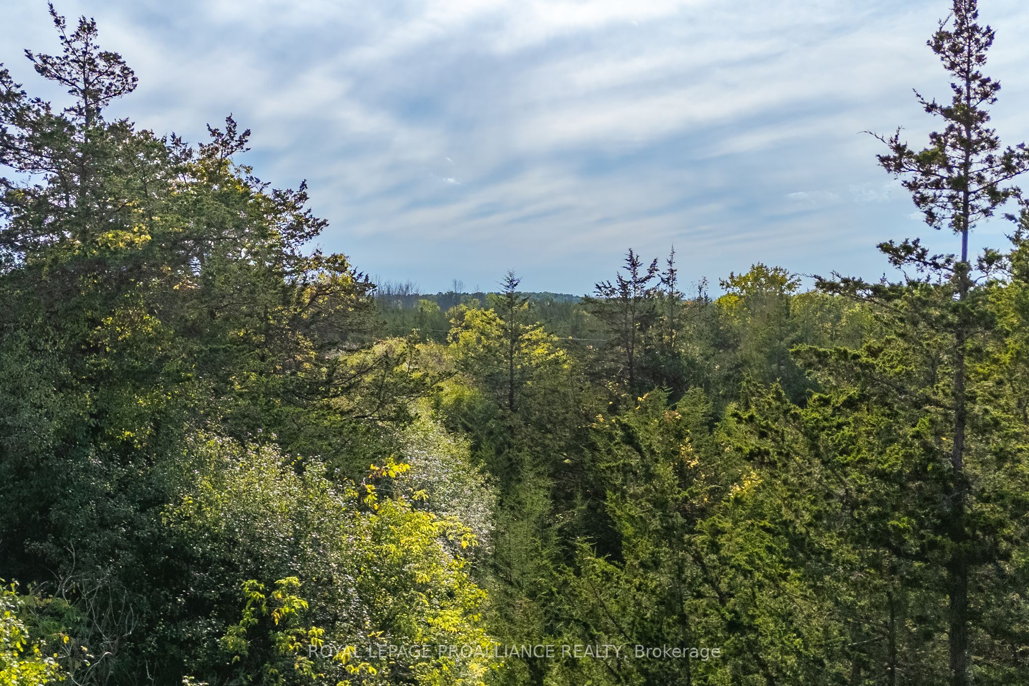 Lot 45 Sprague Road Property Photo 17