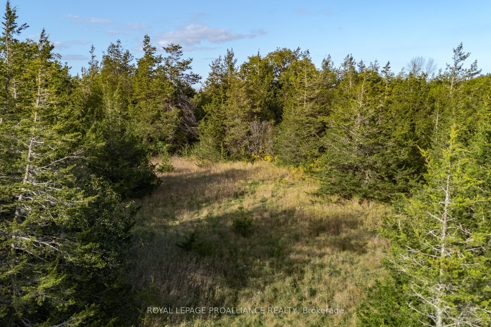 Lot 45 Sprague Road Property Photo 18