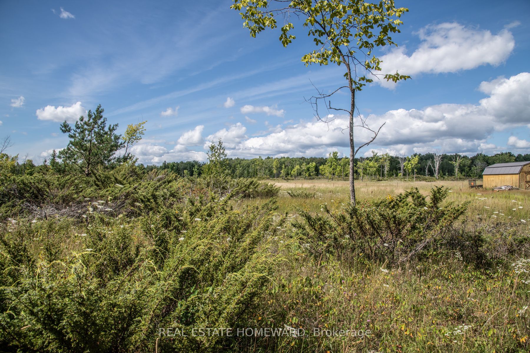Lot 250 Mcguire Beach Road Property Photo 1