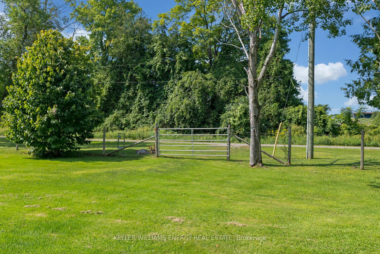 946 County Rd 22 Property Photo 33