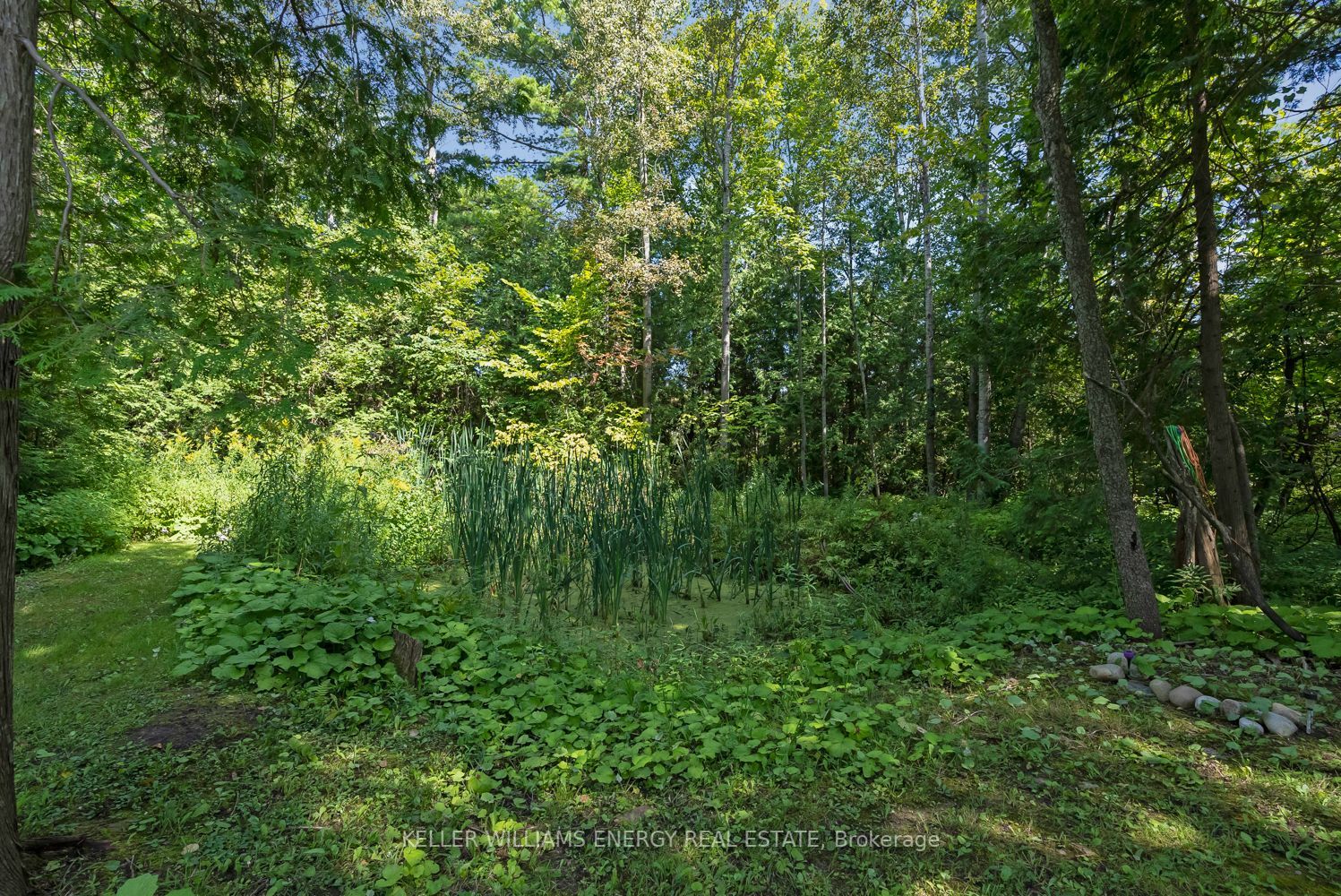 946 County Rd 22 Property Photo 37
