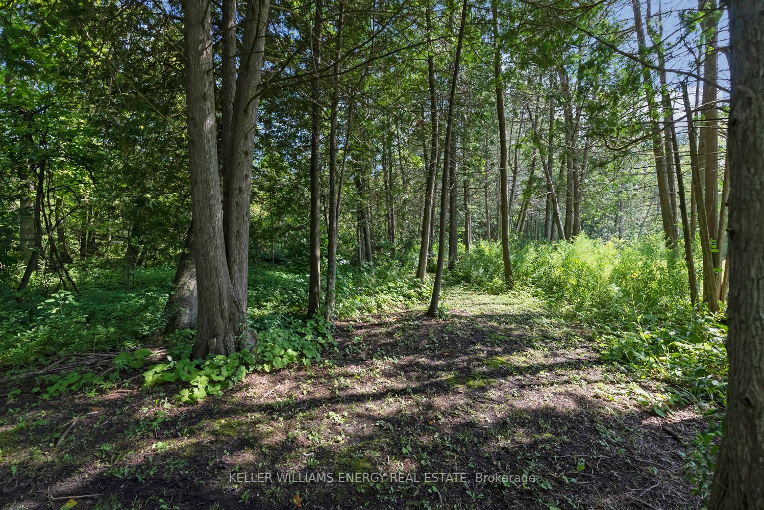 946 County Rd 22 Property Photo 38