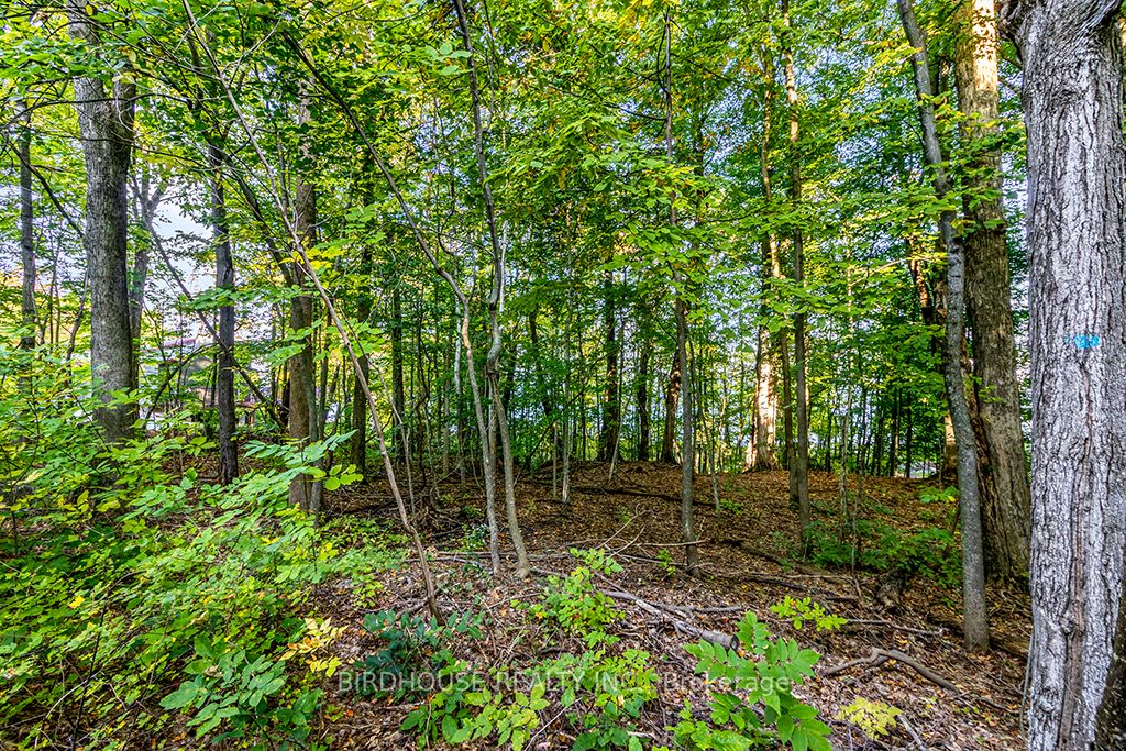 504871 Grey Road 1 Property Photo 24