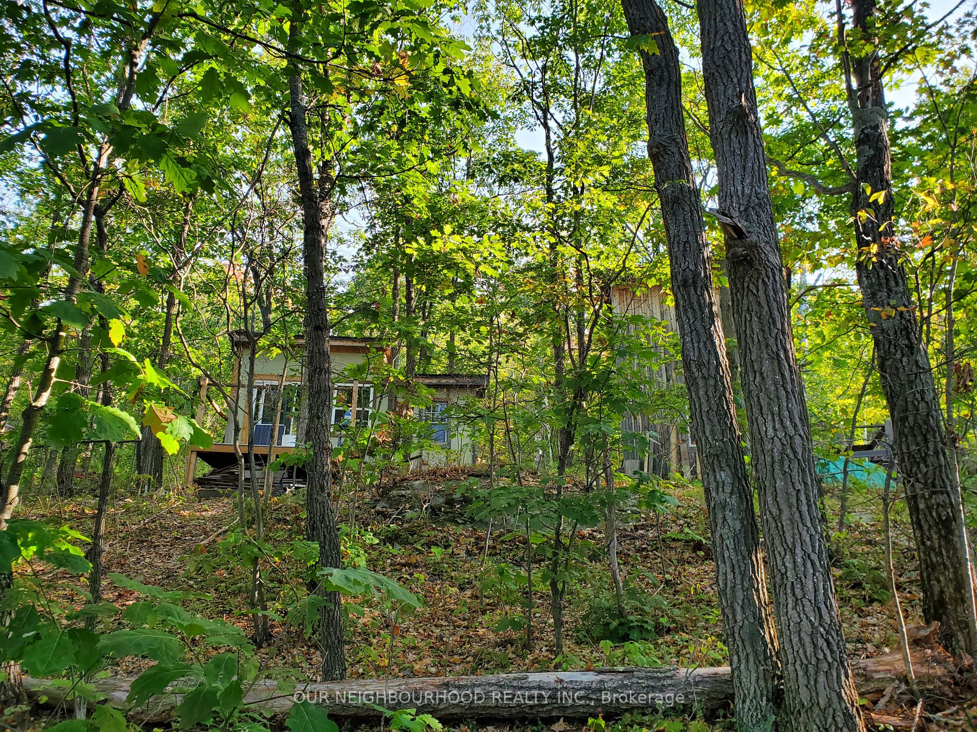 Lot 3 Tangamong Rd E Property Photo 6
