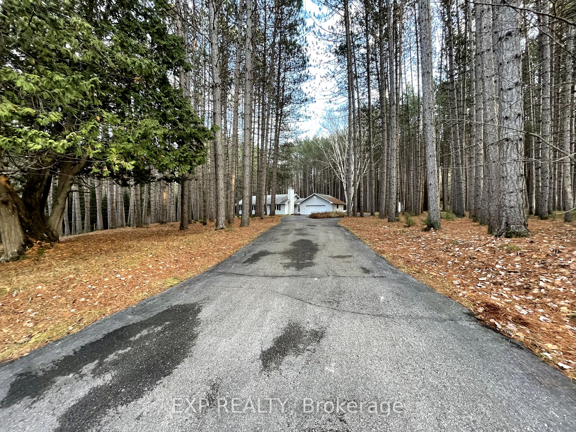 183 Fowlers Rd Property Photo 5