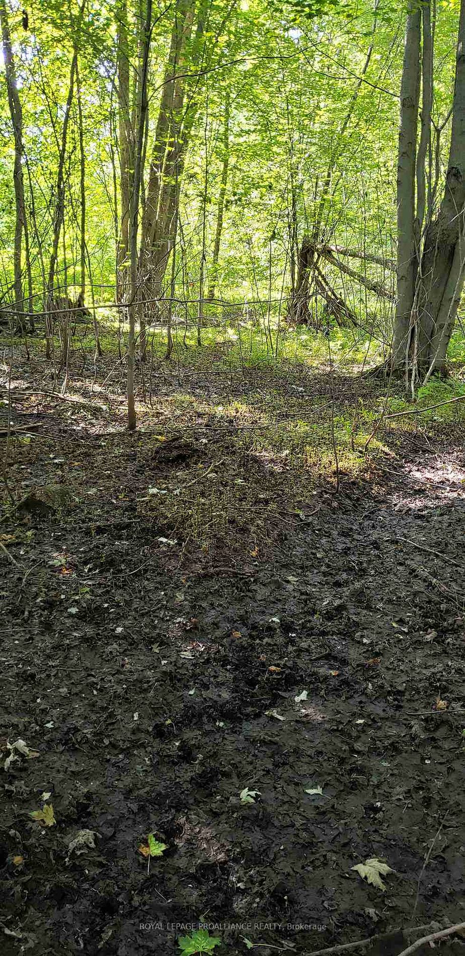 Ptlt 48 Con 3 (1 Ownership) Property Photo 1