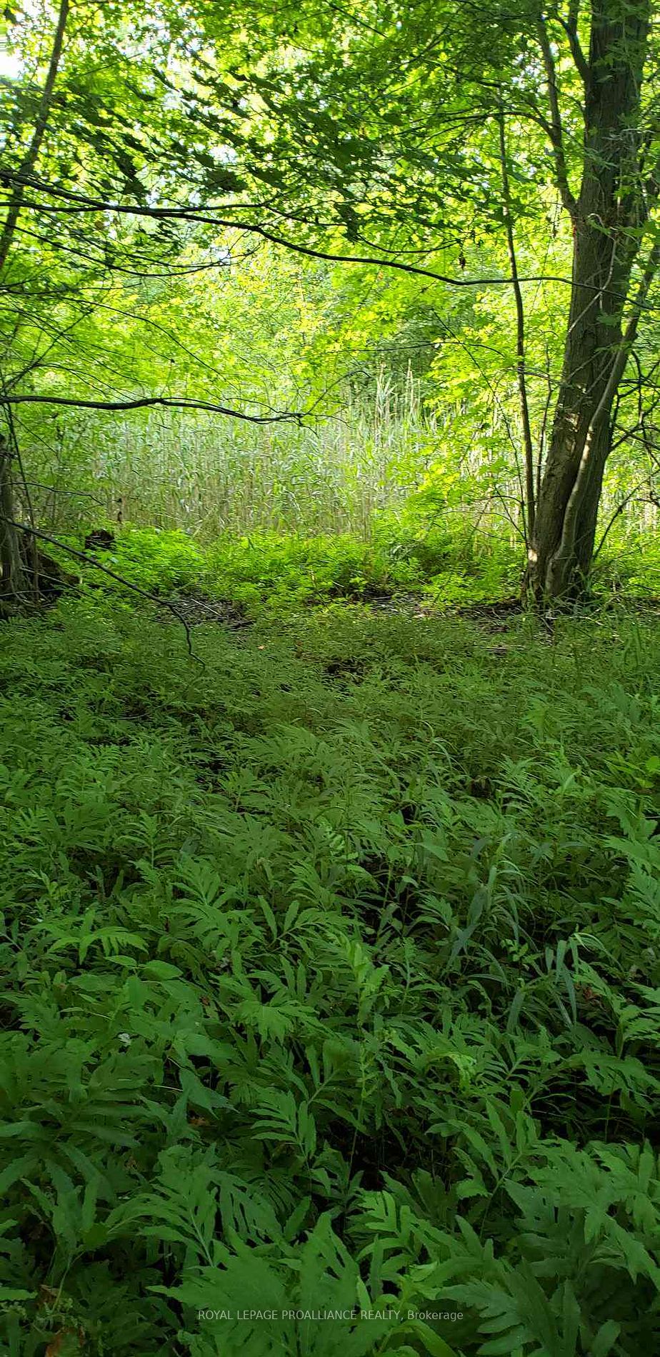 Ptlt 48 Con 3 (1 Ownership) Property Photo 2