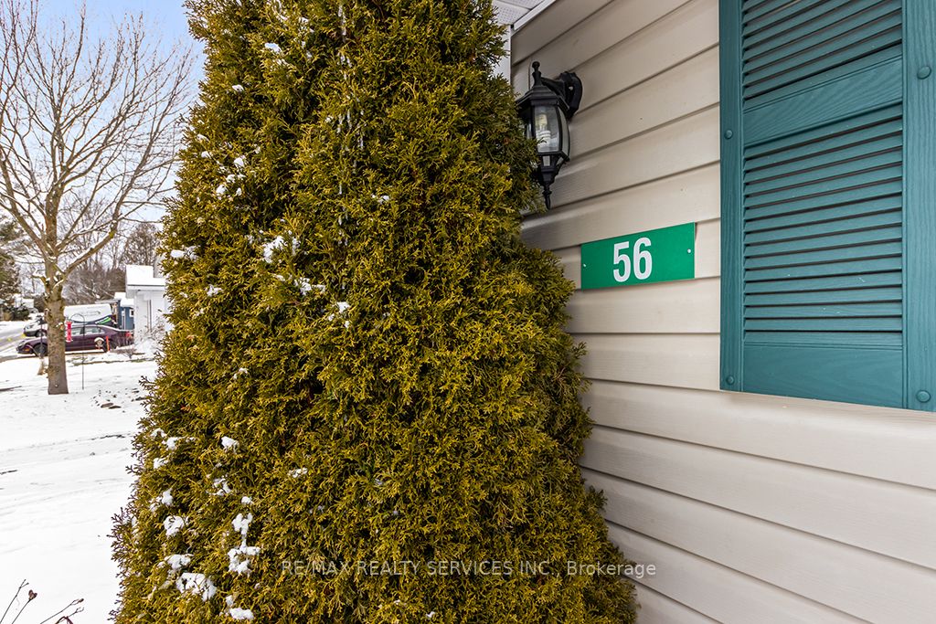 56 Sussex Sq Property Photo 10