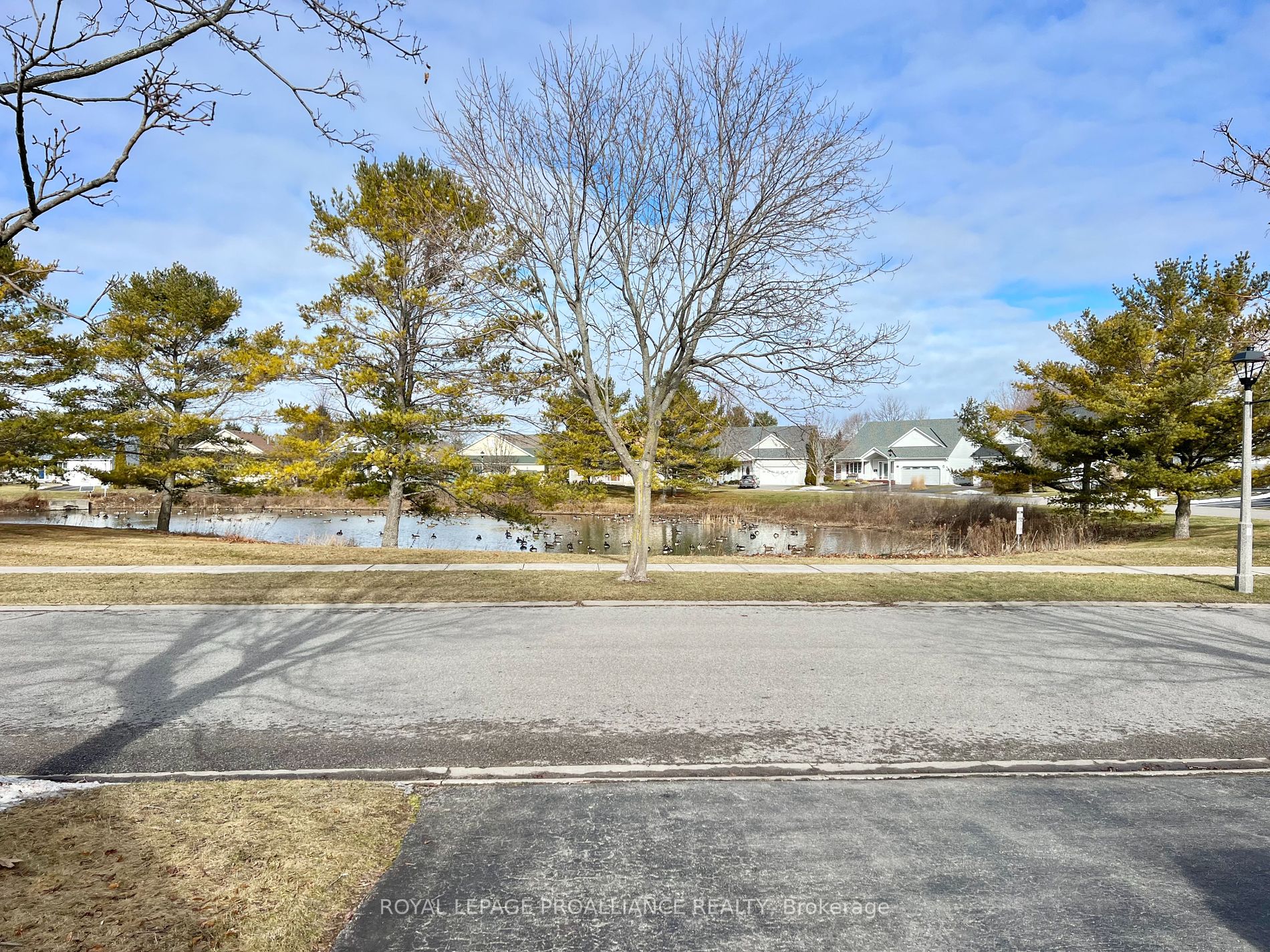 4 Mills Rd Property Photo 21