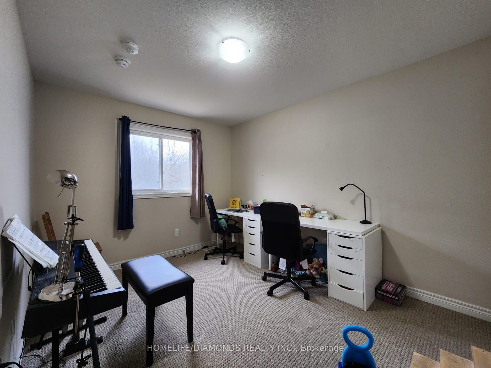 38 Damude Ave Property Photo 9