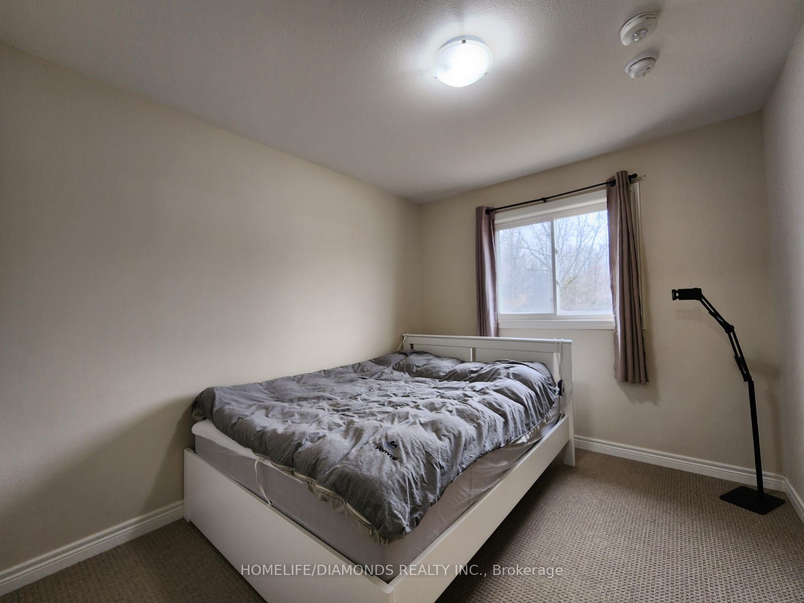 38 Damude Ave Property Photo 11