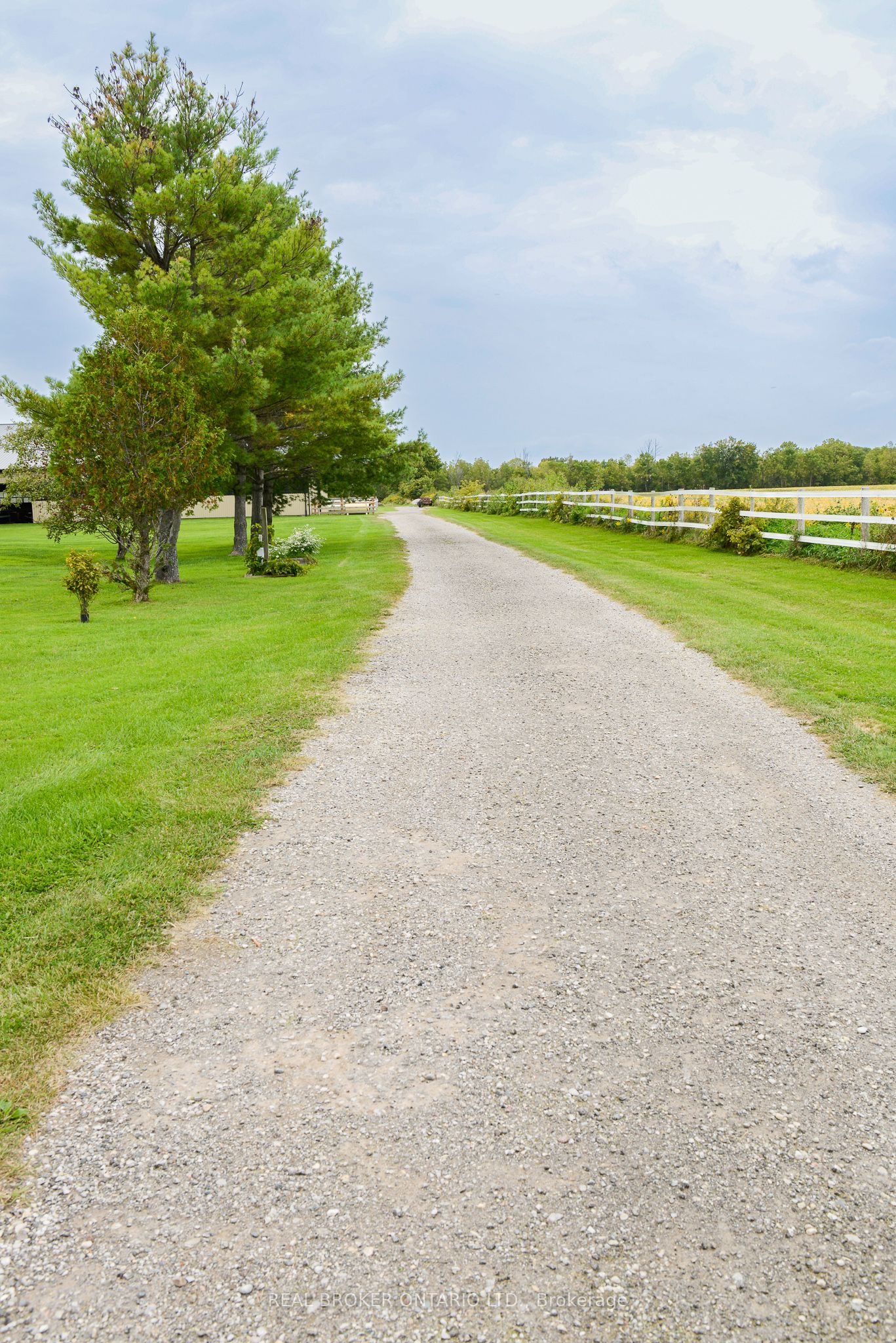 22678 Johnston Line Property Photo 16