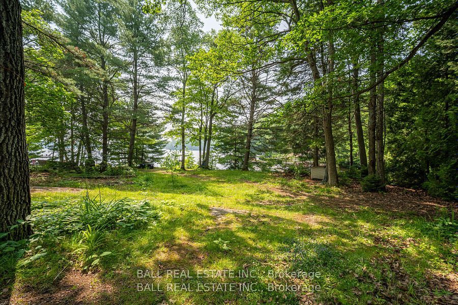 1207 Anstruther Lake Wao Property Photo 6