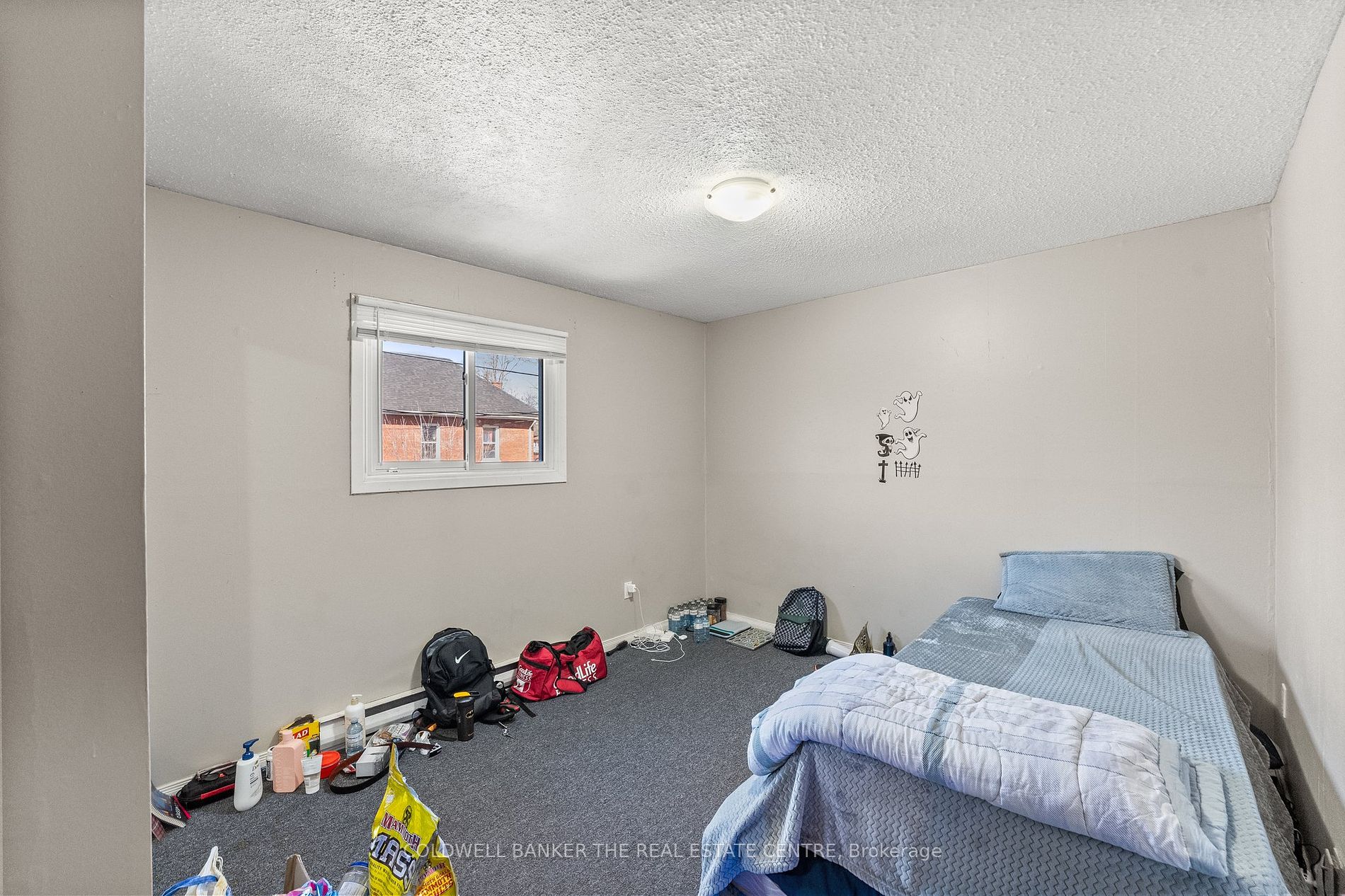 288 Mcdonnel St Property Photo 12