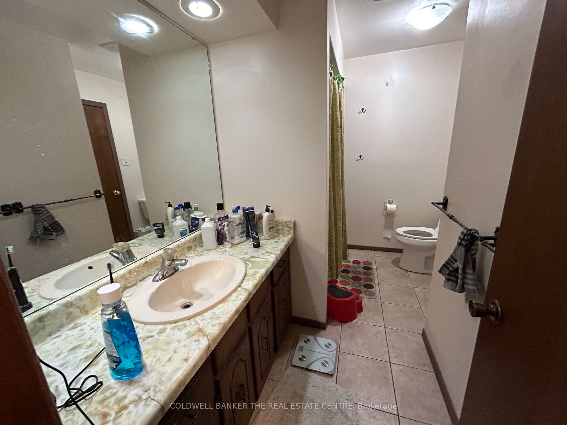 3 Baxter Cres Property Photo 6