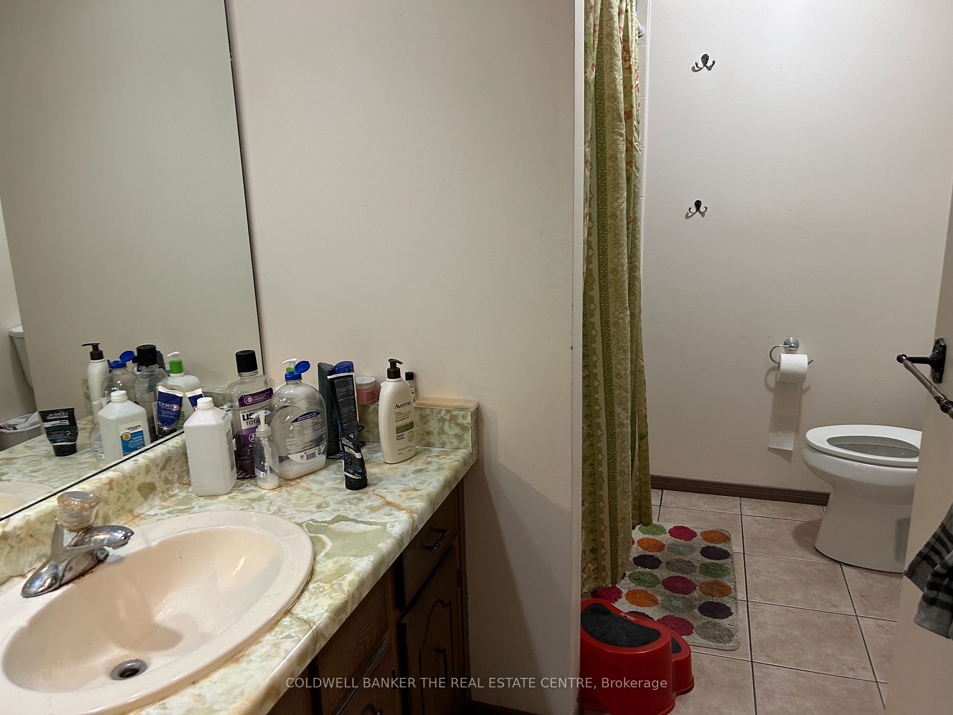 3 Baxter Cres Property Photo 7