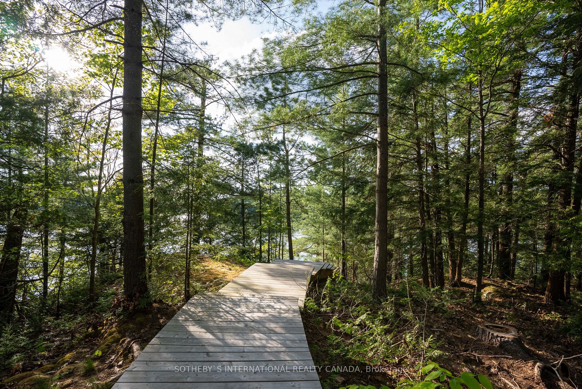 31 Moss Island Property Photo 29