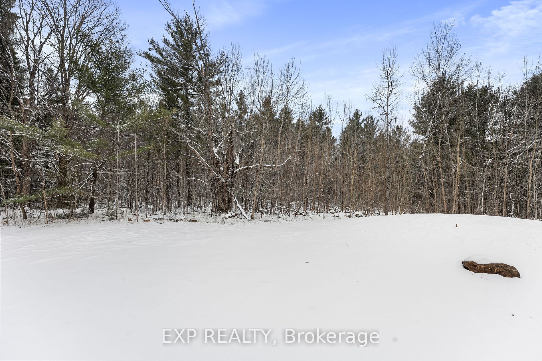 1644 Germania Rd Property Photo 37
