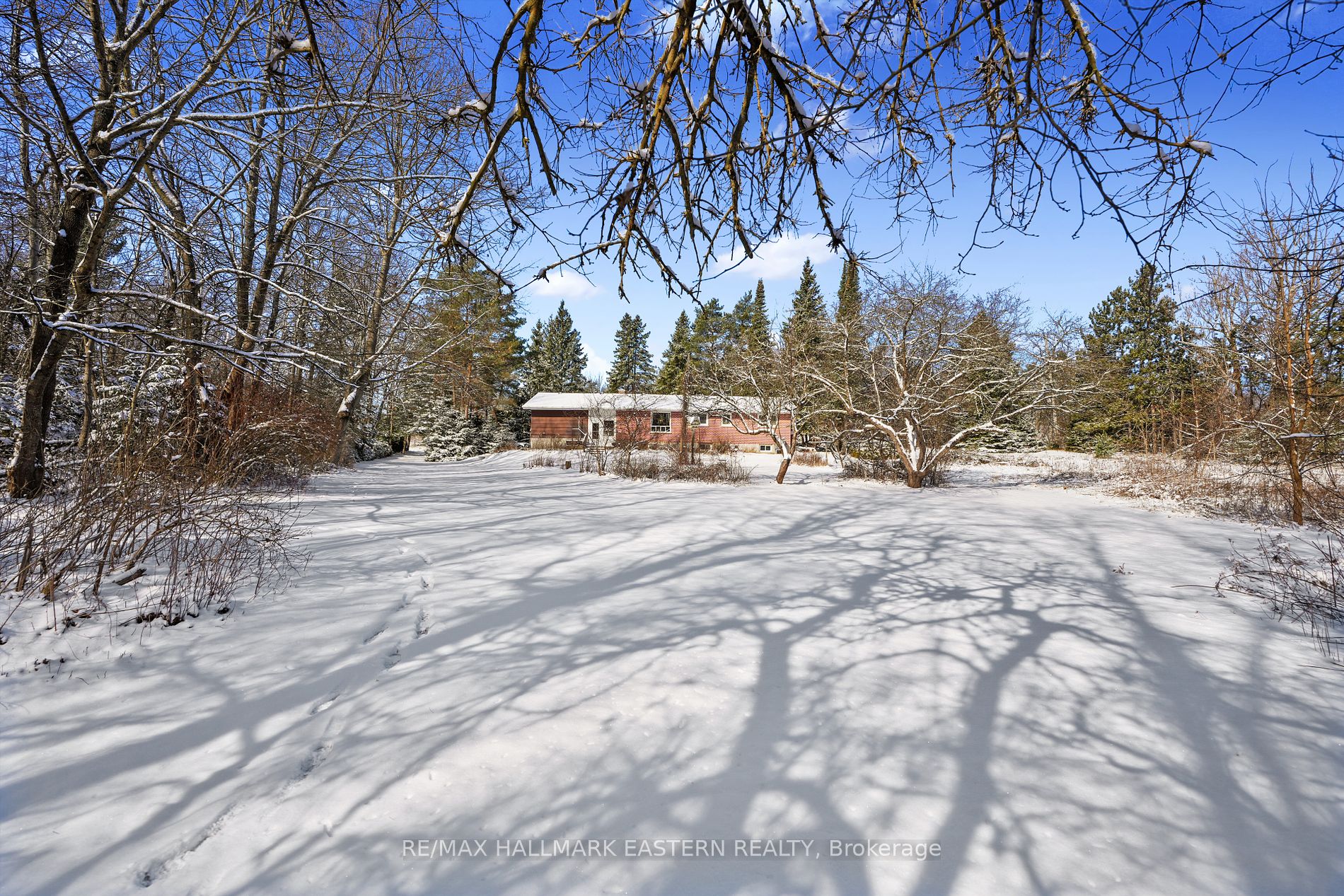 1807 County Road 2 Property Photo 24