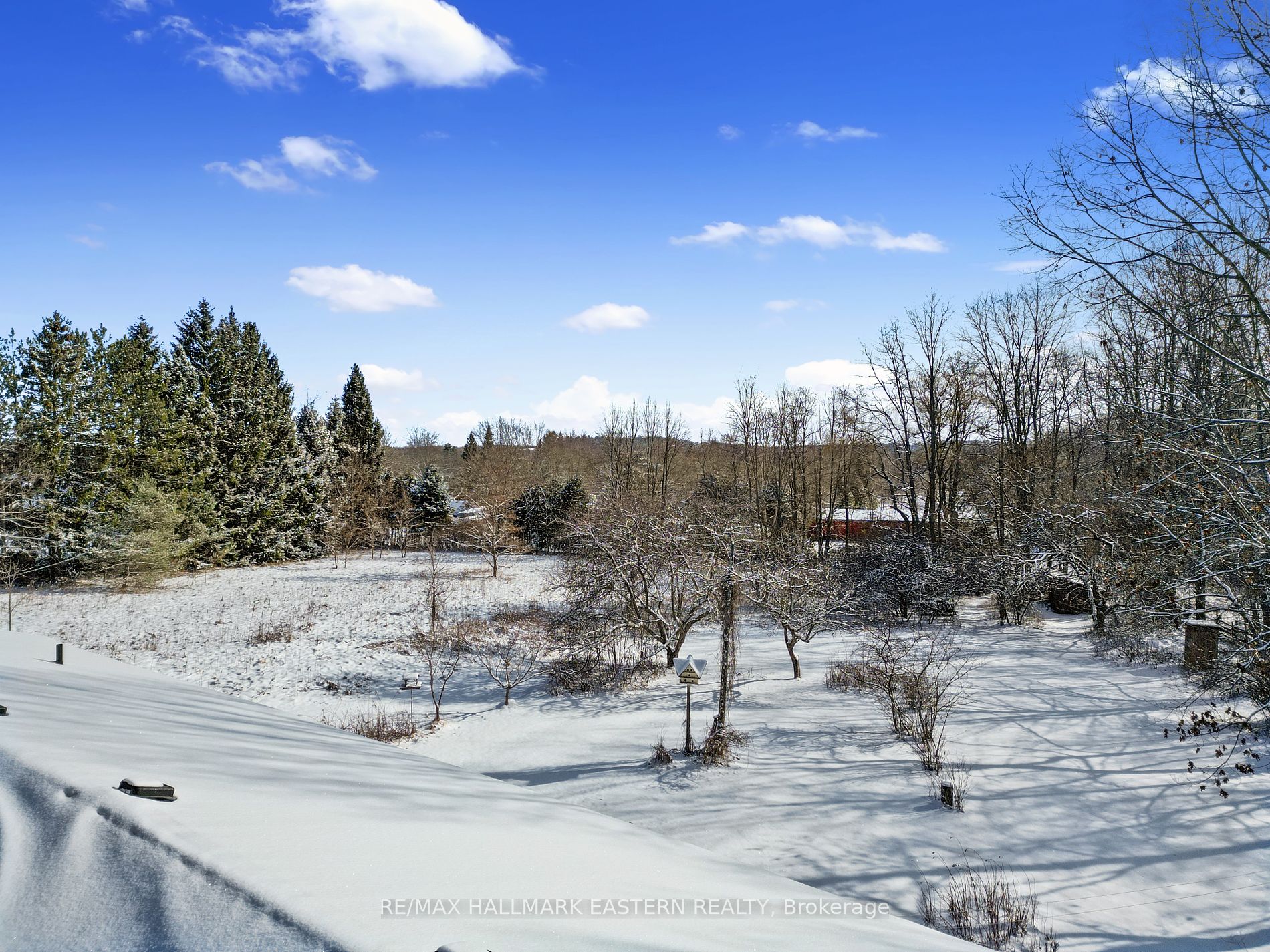 1807 County Road 2 Property Photo 29