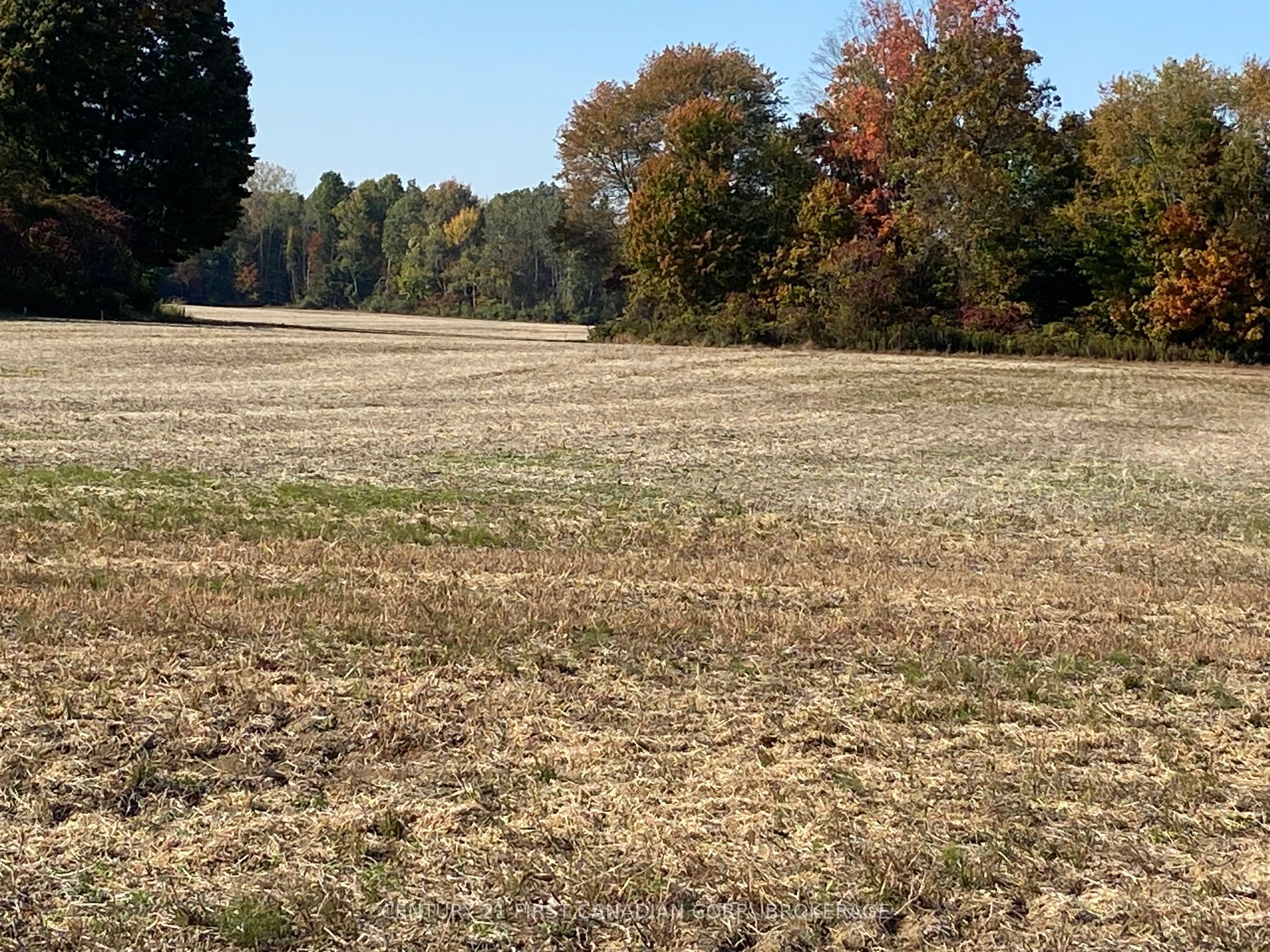 25473 Gray Line Property Photo 2