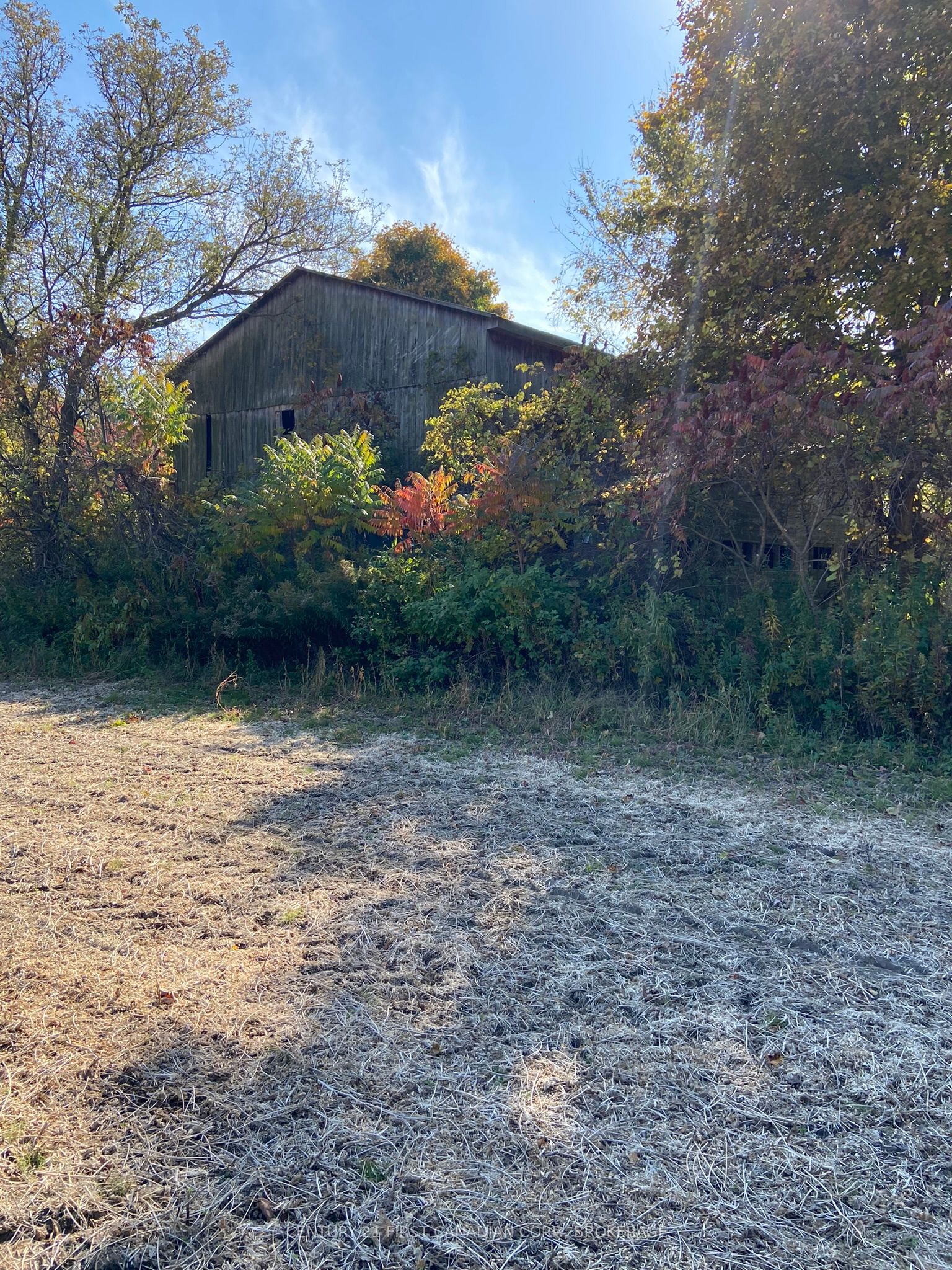 25473 Gray Line Property Photo 3