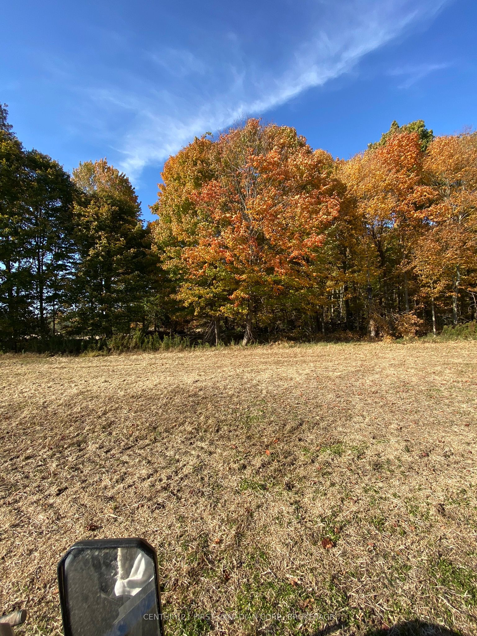 25473 Gray Line Property Photo 5