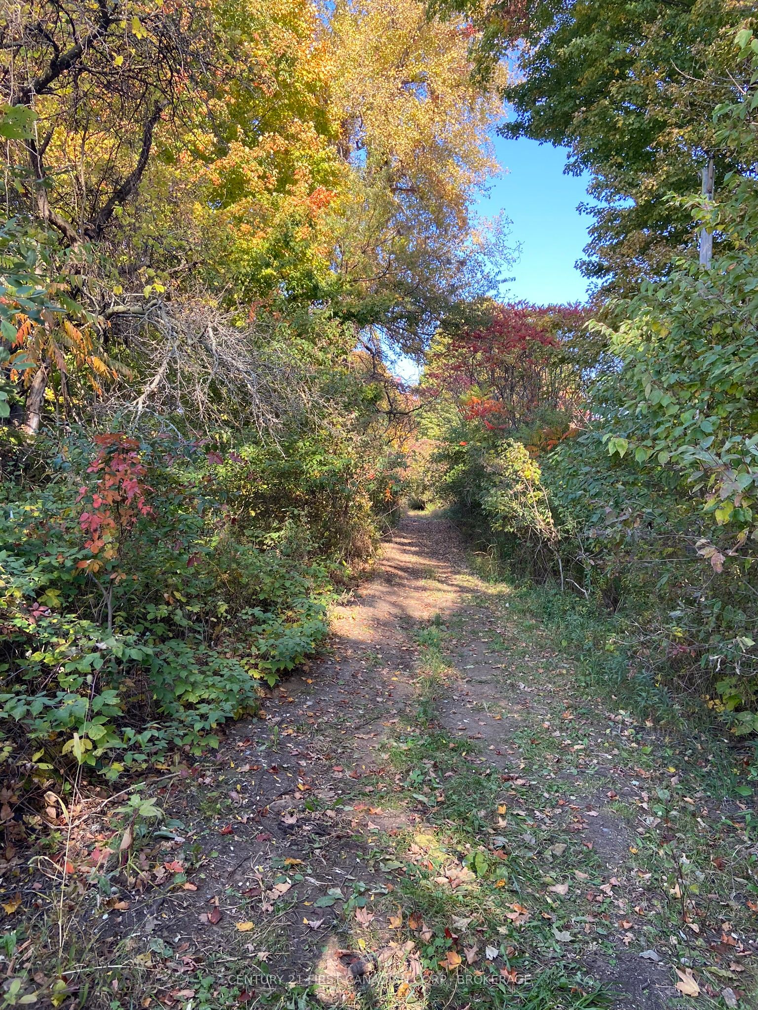 25473 Gray Line Property Photo 6