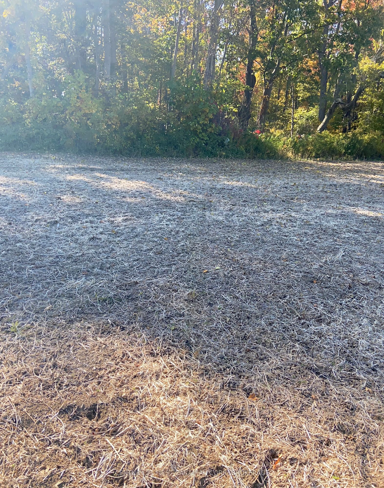 25473 Gray Line Property Photo 7