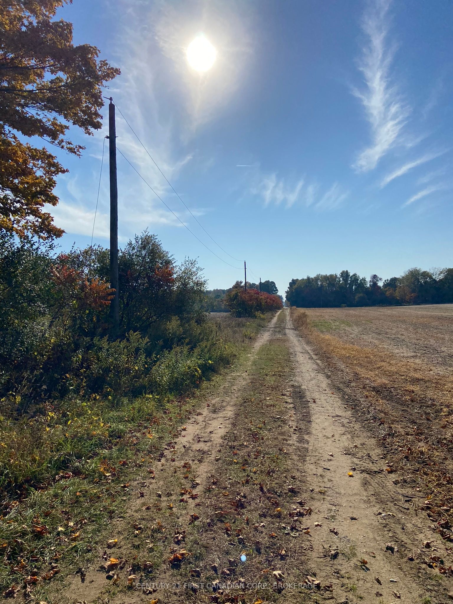 25473 Gray Line Property Photo 8