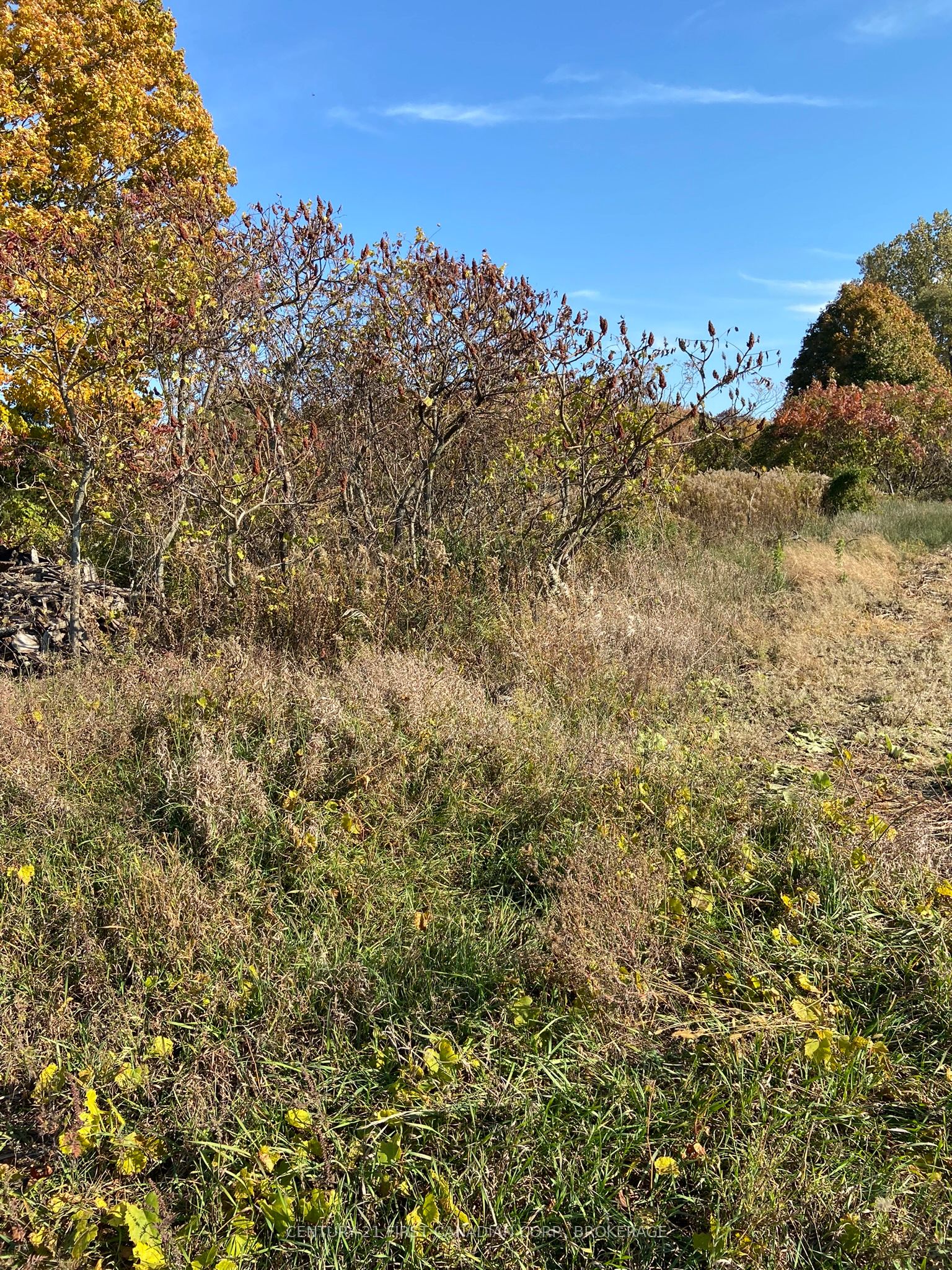 25473 Gray Line Property Photo 9